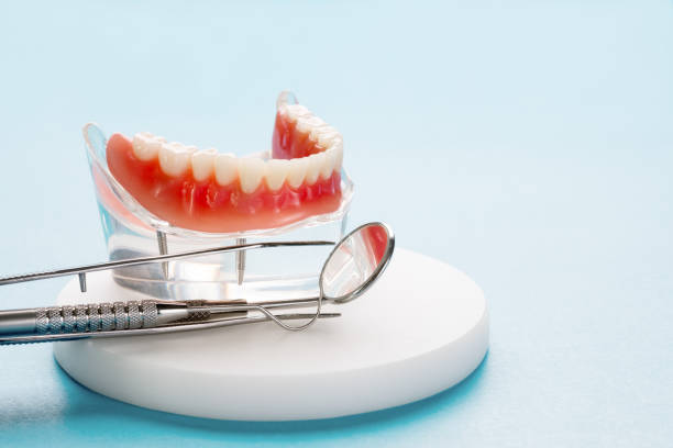 Best Dental Exams and Cleanings  in Otsego, MI